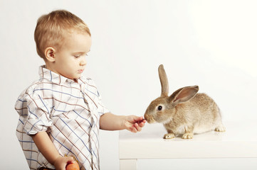 Small pretty boy feeding rabbit with carrot