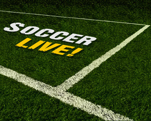 soccer live on green grass