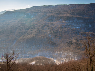 Panorama of the valley with trees on a background of mountains