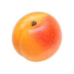 Apricot on a white background