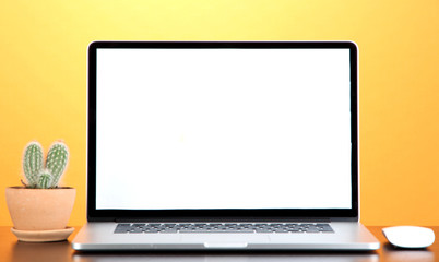 Fototapeta premium Laptop and cactus in flowerpot