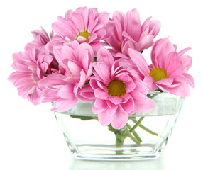 Beautiful flowers in bowl isolated on white