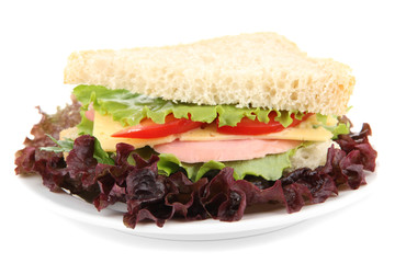 Fresh and tasty sandwich isolated on white