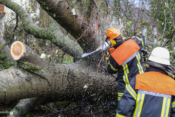 Feuerwehr zersägt umgestürzten Baum