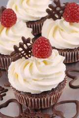 cupcake lamponi