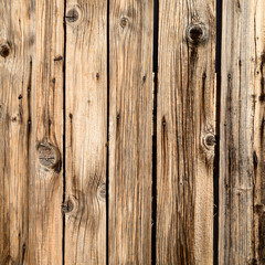 Naklejka premium old wood texture