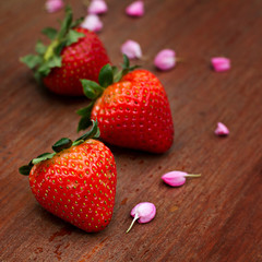 strawberry on wood background with text space