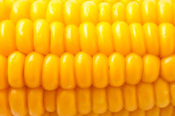 Corn