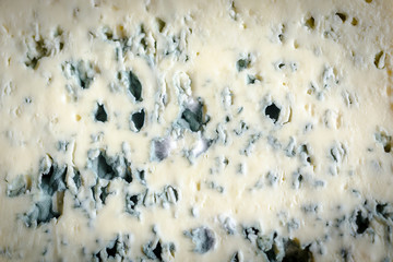 Texture of blue cheese