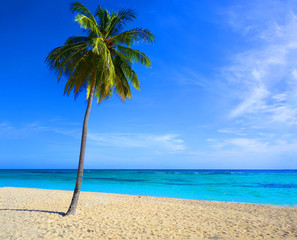 Plage de rêve