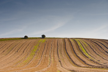 Wiltshire countryside