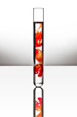 Test tube with dye