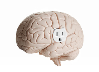 Brain power