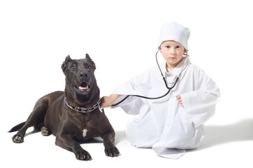 Little vet listens to a stethoscope dog