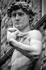 Detail of David