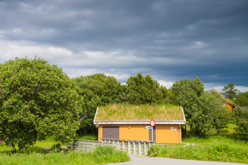 Obraz premium Scandinavian house with grass covered roof