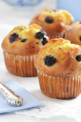 Blueberry muffins