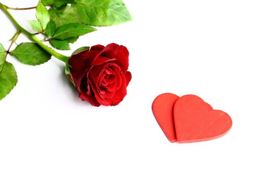 Rose 2 Herzen