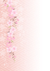 はんなり枝垂れざくら