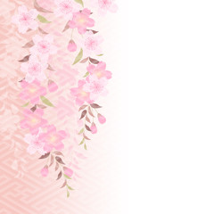 はんなり枝垂れざくら