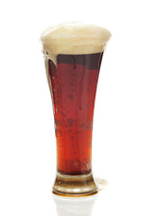 dark beer with the foam in a tall glass isolated on white