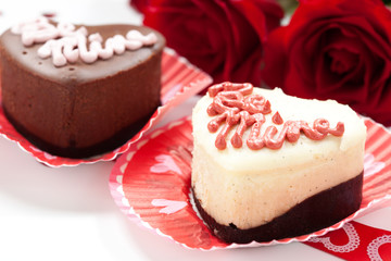 Chocolate And Vanilla Cheesecake