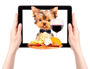 dog holding tray with food on tablet