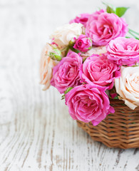 Pink roses