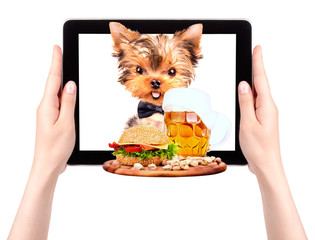 dog with food on a tablet screen