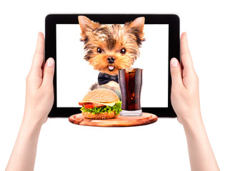 dog holding tray with food on a tablet