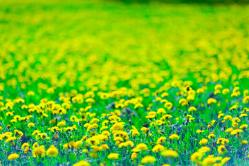 Frühling