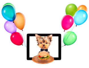 Fototapeta premium dog with food and balloons on a tablet screen