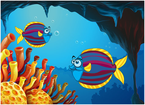 Two colorful fishes inside the cave under the sea