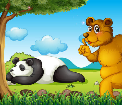 A white bear sleeping soundly and a brown bear under the tree