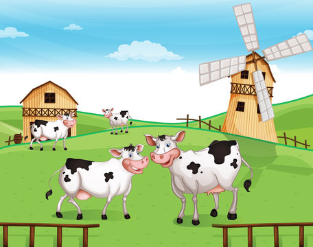 Cows at the hilltop with a windmill
