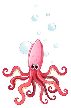 A pink octopus