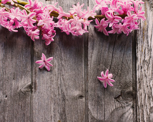 beautiful spring flowers on wooden background
