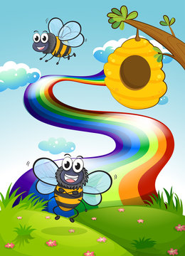 A hilltop with bees and a beehive near the rainbow