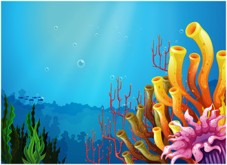 Fototapeta na wymiar Corals under the sea