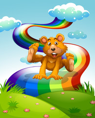 A playful brown bear jumping near the rainbow