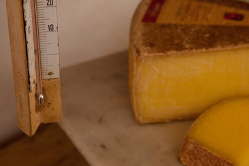 Käse