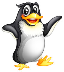 Obraz premium A smiling fat penguin