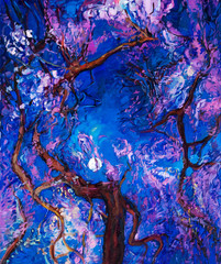 Forest at night