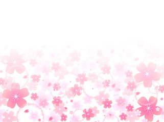 桜　さくら　背景