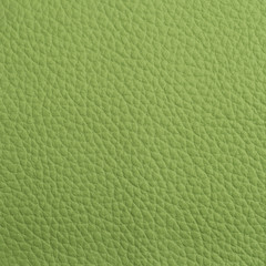 Green Leather texture for background