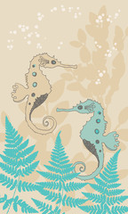 Two Seahorses