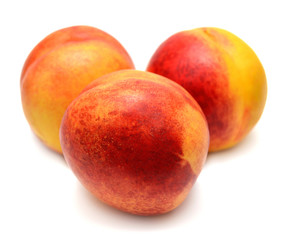 Nectarines