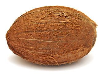 Coconut