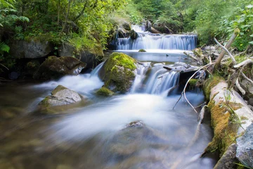 Foto auf Acrylglas river flow in mountain river © Khrystyna Pochynok