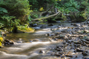 Fototapeta na wymiar flow in mountain river